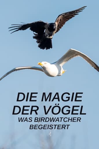 Die Magie der Vögel - Was Birdwatcher begeistert