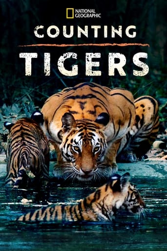 Watch Counting Tigers