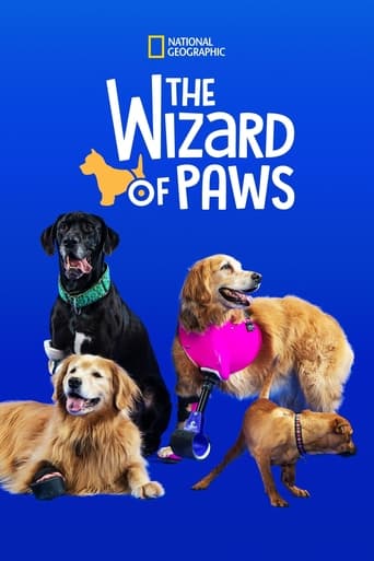 Watch Wizard of Paws