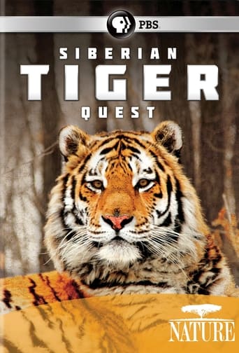 Siberian Tiger Quest