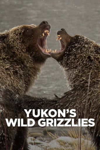 Watch Yukon's Wild Grizzlies