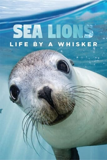Watch Sea Lions: Life By a Whisker