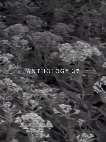Anthology 37