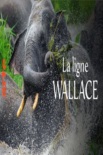 La ligne Wallace: Une frontière naturelle entre l'Asie et l'Australie