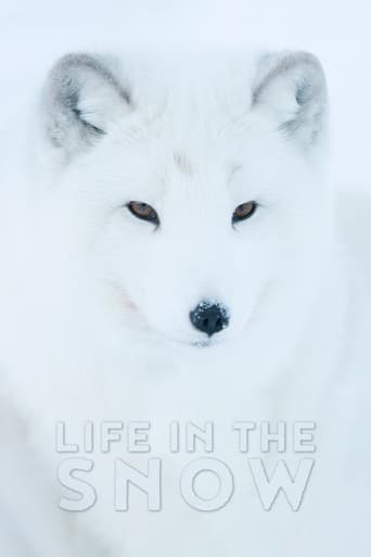 Watch Life In The Snow