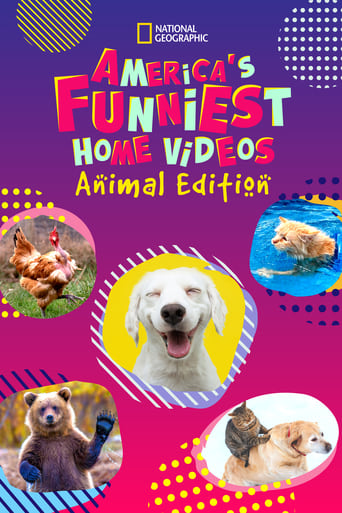 Watch America's Funniest Home Videos: Animal Edition