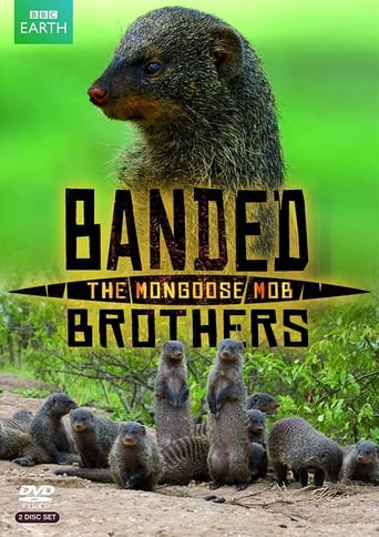 Banded Brothers: The Mongoose Mob