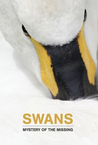 Watch Swans: Mystery of the Missing