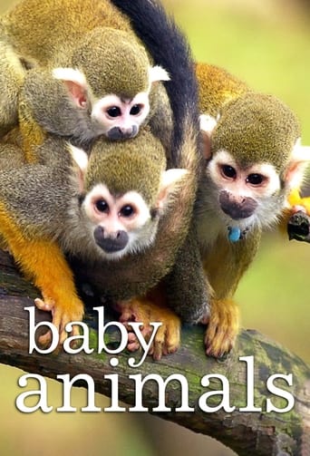 Watch Baby Animals