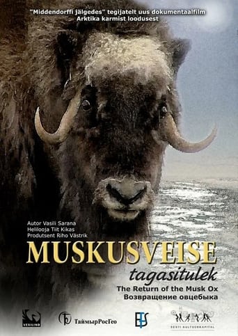 The Return of the Musk Ox