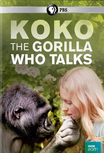 Watch Koko: The Gorilla Who Talks to People