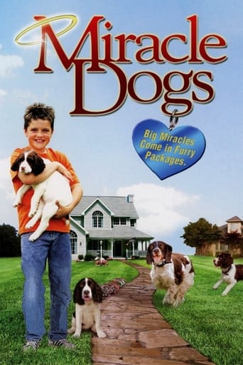 Watch Miracle Dogs