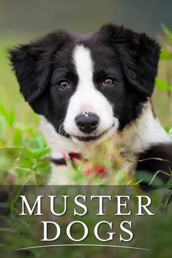 Watch Muster Dogs