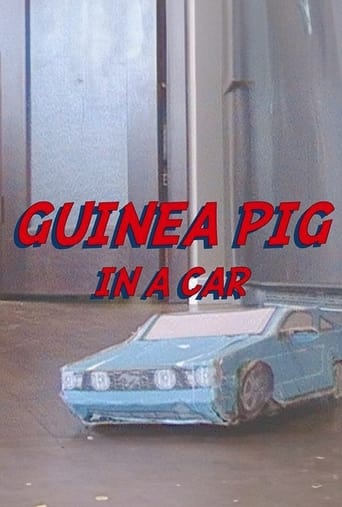 GUINEA PIG IN A CAR