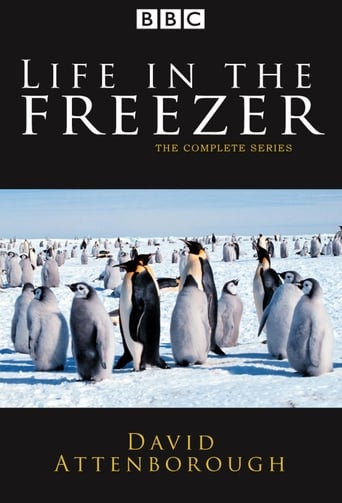Watch Life in the Freezer