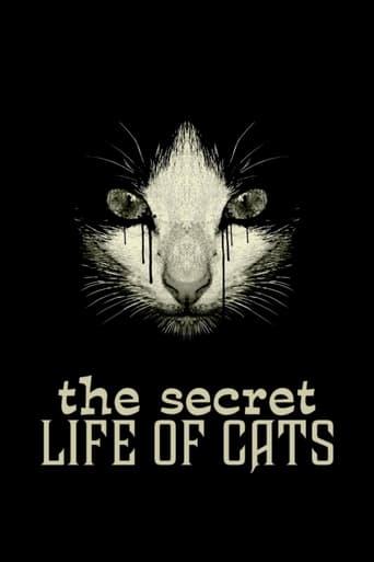 Watch The Secret Life of Cats