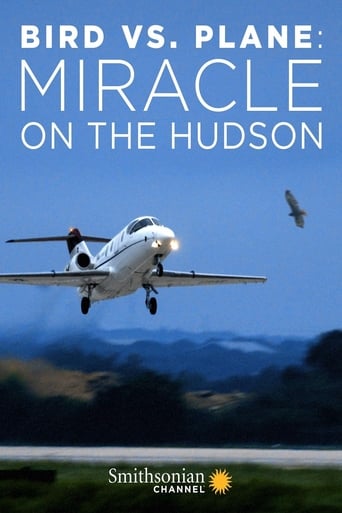 Bird vs. Plane: Miracle on the Hudson