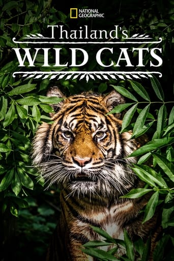 Watch Thailand's Wild Cats