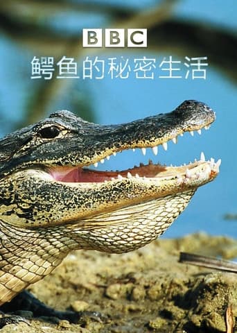 The Secret World Of Crocodiles With Ben Fogle