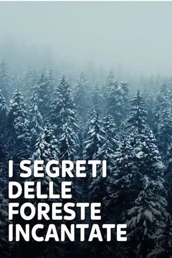 I Segreti Delle Foreste Incantate