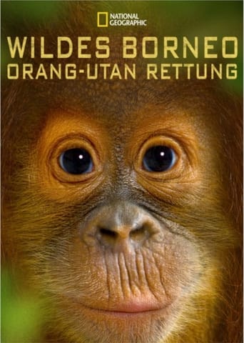 Watch Orangutan Rescue - Back to the wild