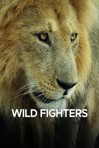 Wild Fighters