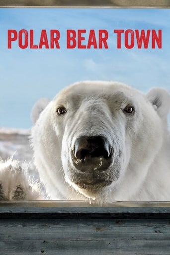 Watch Polar Bear Town