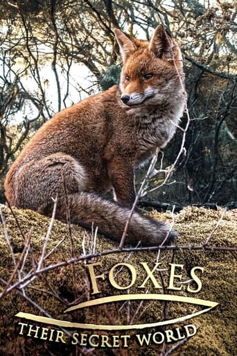 Watch Foxes: Their Secret World