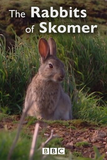 Watch The Rabbits of Skomer