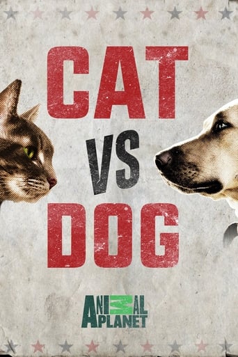 Watch Cat vs. Dog
