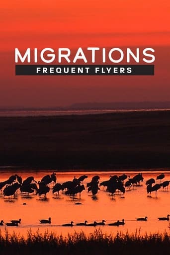 Watch Migrations: Frequent Flyers