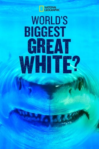 Watch World's Biggest Great White?