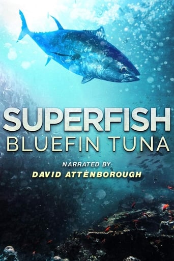 Watch Superfish: Bluefin Tuna
