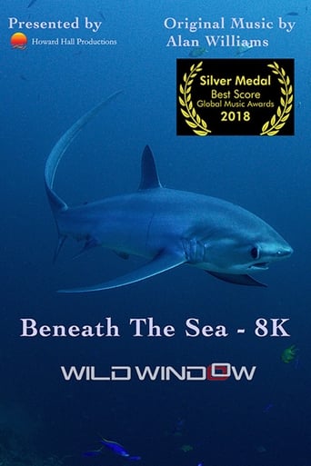 Watch Wild Window: Beneath the Sea