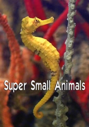 Watch Super Small Animals