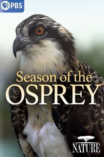 Watch Season of the Osprey