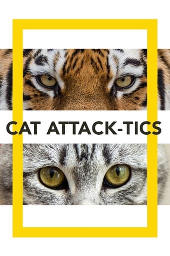 Watch Cat Attack-Tics