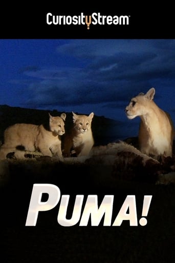 Watch Puma!