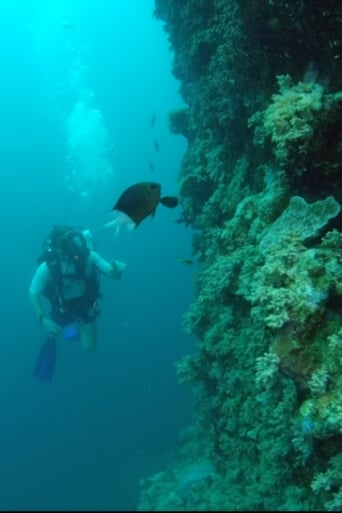 Watch Wonders of the Great Barrier Reef with Iolo Williams