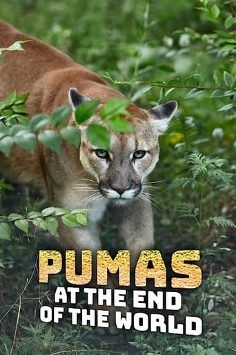Watch Pumas At The End of The World