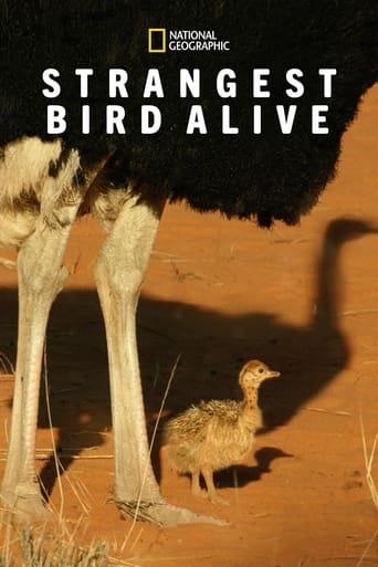 Strangest Bird Alive