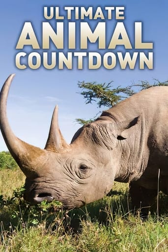 Watch Ultimate Animal Countdown