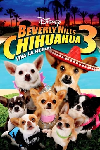 Watch Beverly Hills Chihuahua 3: Viva la Fiesta!