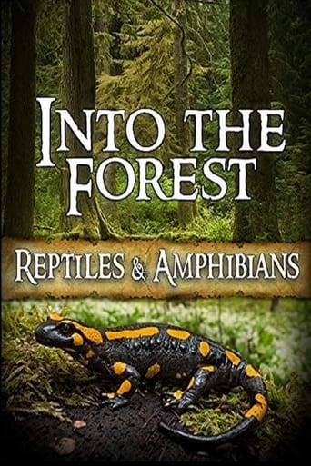 Into the Forest: Reptiles & Amphibians