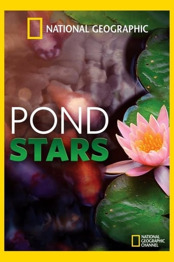 Pond Stars