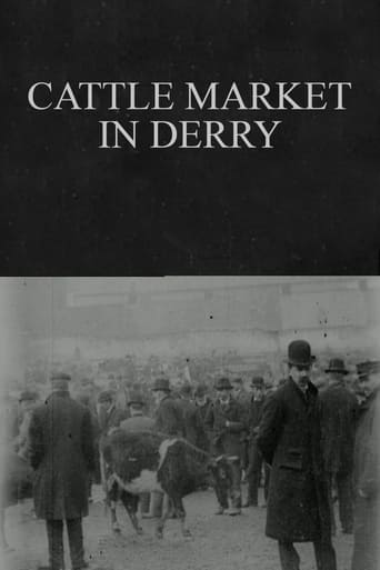 Watch Cattle Market in Derry