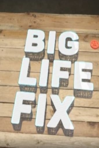 Big Life Fix