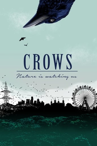 Crows – Nature Is Watching Us