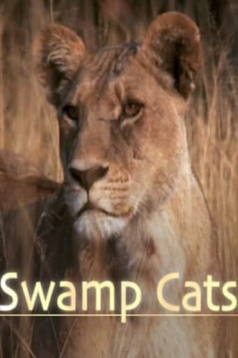 Watch Swamp Cats