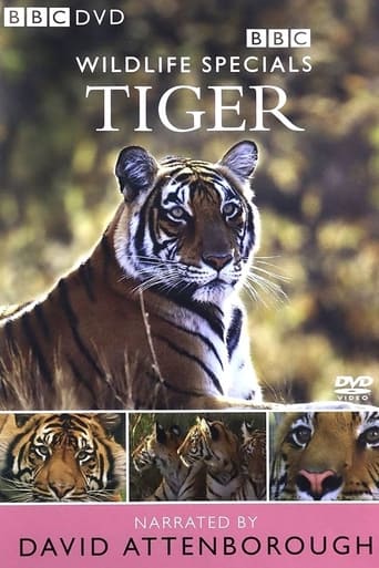 Watch Tiger: The Elusive Princess